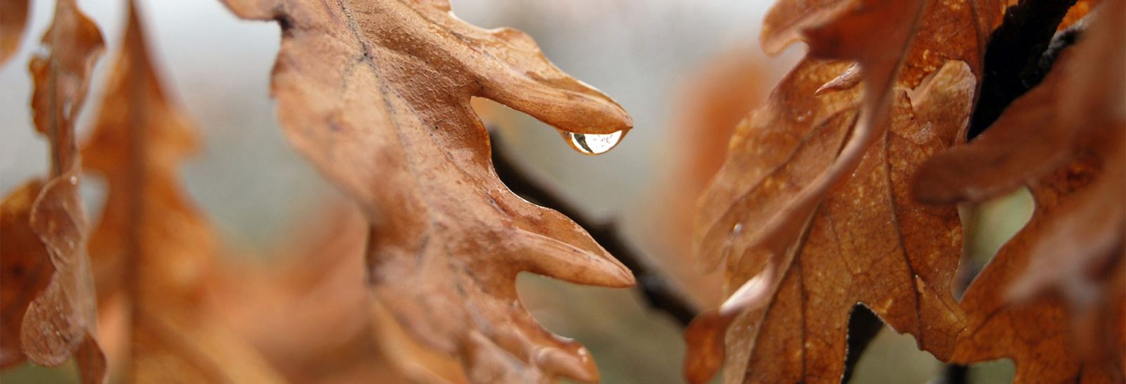 Geotermia en Asturias